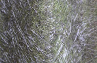 Byland Abbey fibreglass roof work